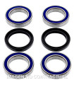 Kit de rodamientos rueda All Balls 25-1456