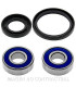 Kit de rodamientos rueda All Balls 25-1472