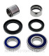 Kit de rodamientos rueda All Balls 25-1475