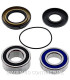 Kit de rodamientos rueda All Balls 25-1478