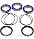 Kit de rodamientos rueda All Balls 25-1479