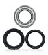 Kit de rodamientos rueda All Balls 25-1497