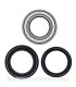 Kit de rodamientos rueda All Balls 25-1502