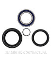 Kit de rodamientos rueda All Balls 25-1513