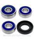 Kit de rodamientos rueda All Balls 25-1517