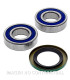 Kit de rodamientos rueda All Balls 25-1518