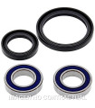 Kit de rodamientos rueda All Balls 25-1521