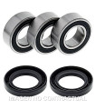 Kit de rodamientos rueda All Balls 25-1535
