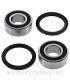 Kit de rodamientos rueda All Balls 25-1550