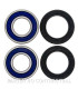 Kit de rodamientos rueda All Balls 25-1562