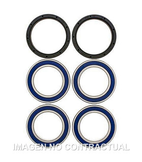 Kit de rodamientos rueda All Balls 25-1565