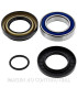 Kit de rodamientos rueda All Balls 25-1580