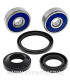 Kit de rodamientos rueda All Balls 25-1597