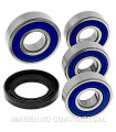 Kit de rodamientos rueda All Balls 25-1598