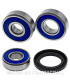 Kit de rodamientos rueda All Balls 25-1599