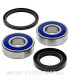 Kit de rodamientos rueda All Balls 25-1601