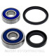 Kit de rodamientos rueda All Balls 25-1602