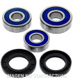 Kit de rodamientos rueda All Balls 25-1603