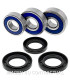 Kit de rodamientos rueda All Balls 25-1605