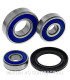 Kit de rodamientos rueda All Balls 25-1608