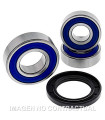 Kit de rodamientos rueda All Balls 25-1609