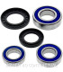 Kit de rodamientos rueda All Balls 25-1634