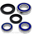 Kit de rodamientos rueda All Balls 25-1634