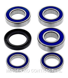Kit de rodamientos rueda All Balls 25-1656