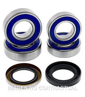 Kit de rodamientos rueda All Balls 25-1673