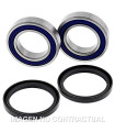 Kit de rodamientos rueda All Balls 25-1698