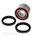 Kit de rodamientos rueda All Balls 25-1700