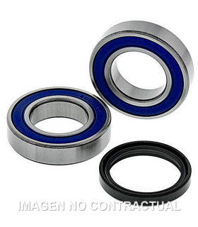 Kit de rodamientos rueda All Balls 25-1709