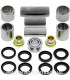 Kit de rodamientos y retenes del trapecio All Balls 27-1049