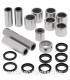 Kit de rodamientos y retenes del trapecio All Balls 27-1153