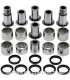 Kit de rodamientos y retenes del trapecio All Balls 27-1176