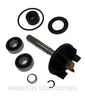 Kit Reparación Bomba De Agua Piaggio 50