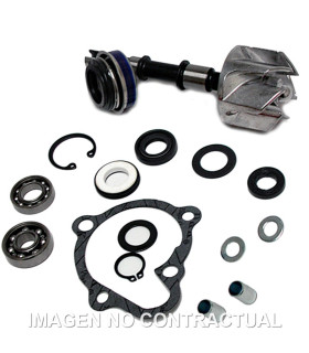 Kit Reparación Bomba De Agua Kymco Xciting 250