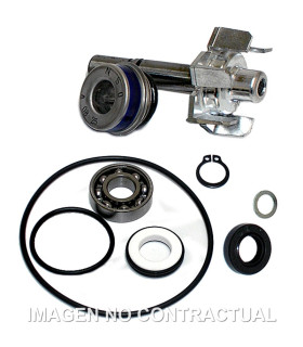 Kit Reparación Bomba De Agua T-Max 500 (01-03)