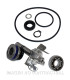 Kit Reparación Bomba De Agua T-Max 500 (04-11)