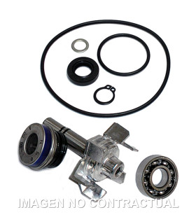 Kit Reparación Bomba De Agua T-Max 500 (04-11)