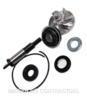 Kit Reparación Bomba De Agua Honda SH300