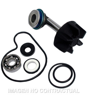 Kit Reparación Bomba De Agua Suzuki Burgman 250