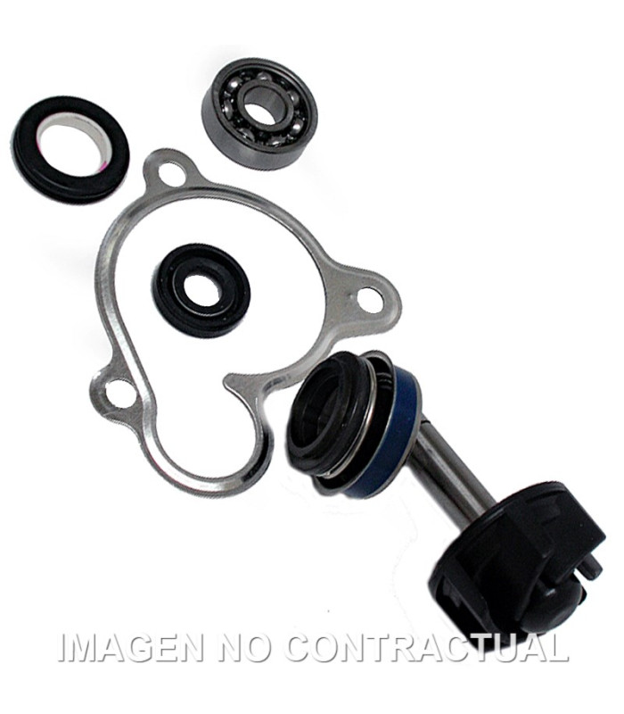 Kit Reparación Bomba De Agua Yamaha Majesty 250