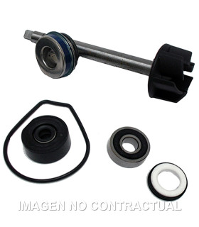 Kit Reparación Bomba De Agua Yamaha X-Max 400