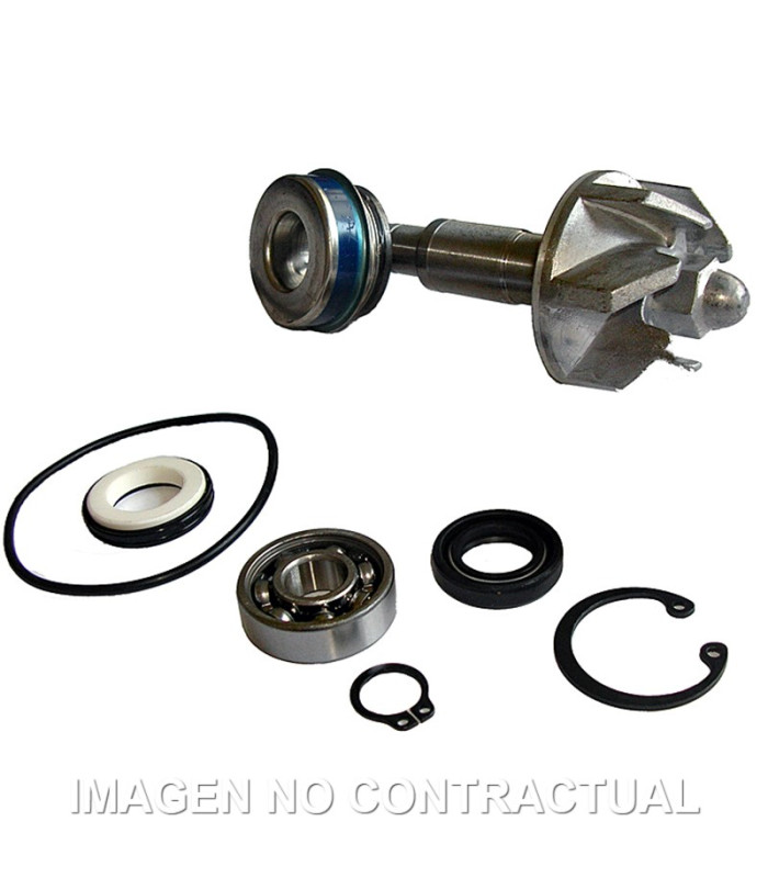 Kit Reparación Bomba De Agua Honda Pantheon