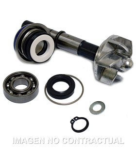 Kit Reparación Bomba De Agua Daelim S3