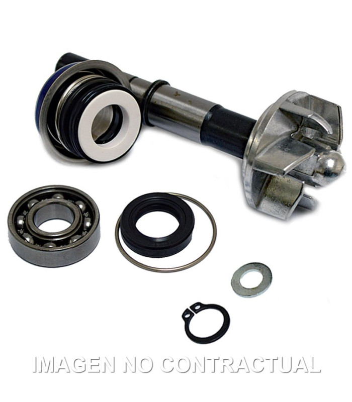 Kit Reparación Bomba De Agua Daelim S3