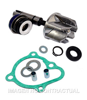 Kit Reparación Bomba De Agua Kymco Super Dink 300