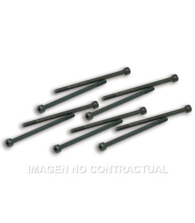 Tornillos Fijación Pinzas Variador Malossi Competición