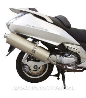 Tubarro Maxi Wild Lion Honda Silver Wing 600 4T